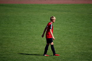 华体会登录-世界拳击青年赛中国选手勇夺金腰带，世界拳击表演赛